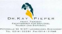 Kai-Pieper-Logo-e7f9481c.jpg